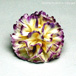 Carnation