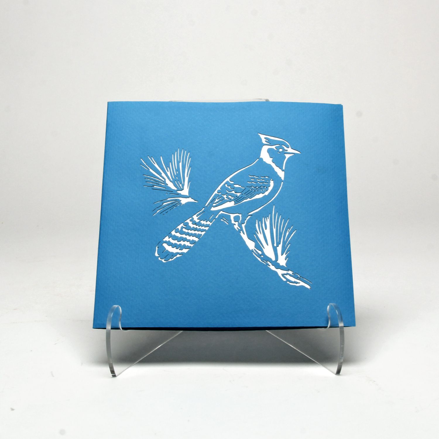 Roses without Thorns: Blue Jay Product Image 2 of 3