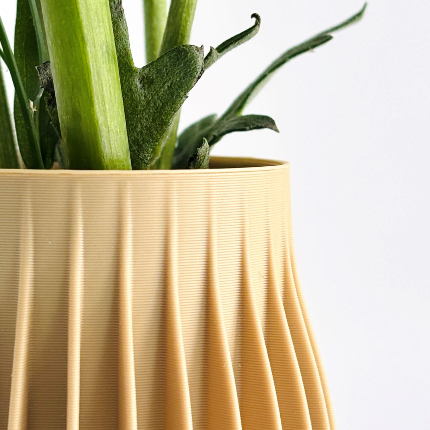 Sonnihaus Studio: HOLI Vase – Hazelnut Product Image 4 of 6