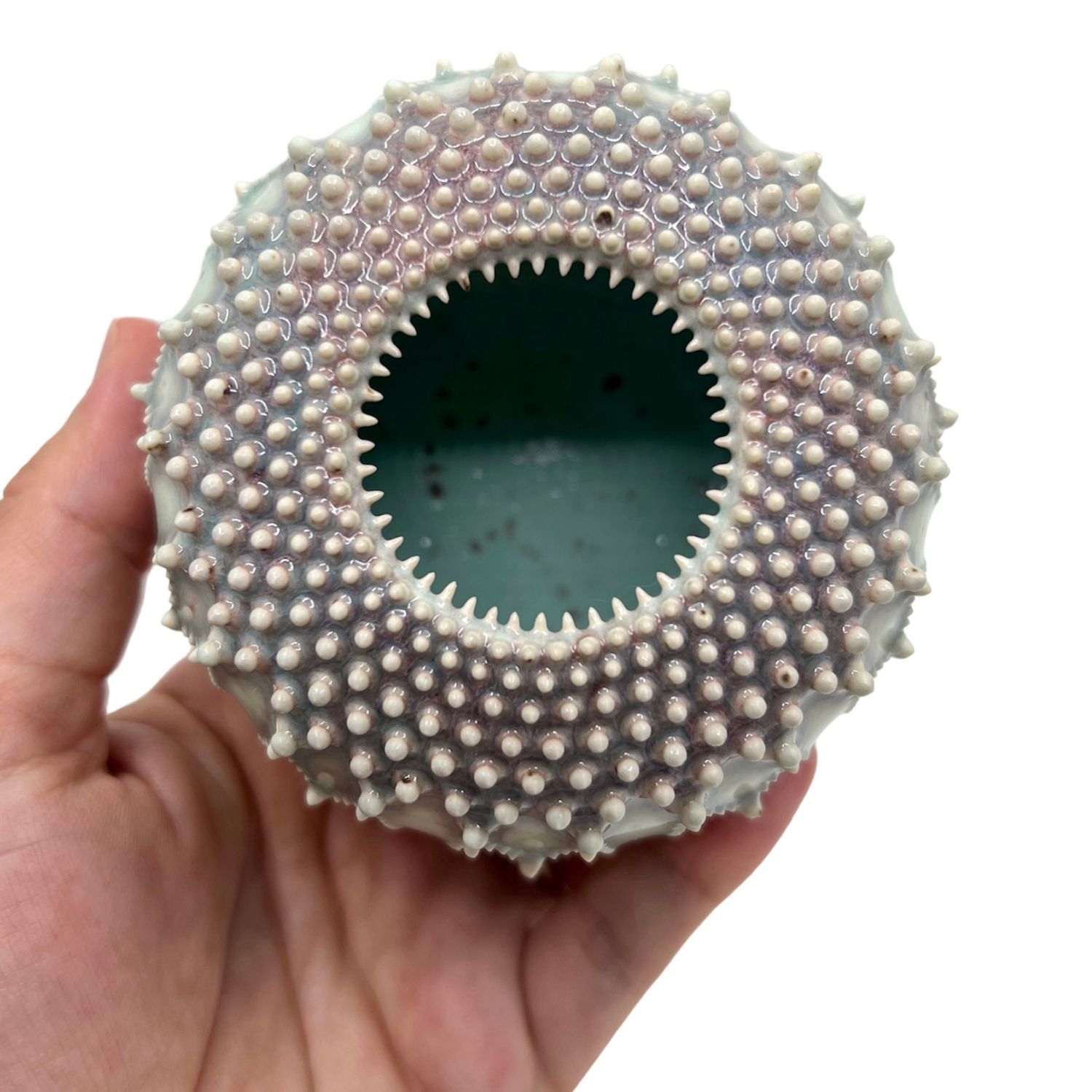 Zara Gardner: Turquoise Urchin Sculpture Product Image 5 of 5