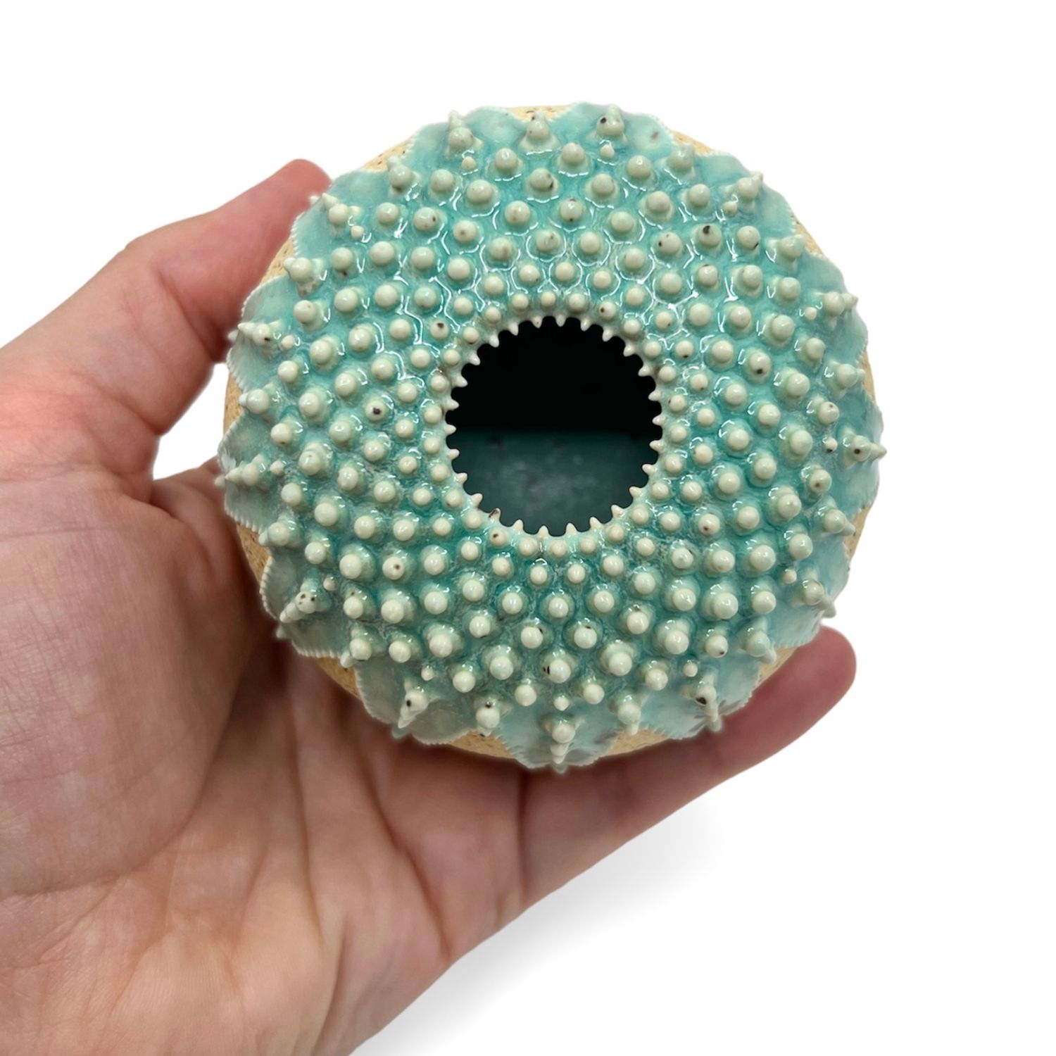 Zara Gardner: Turquoise Urchin Sculpture Product Image 3 of 5