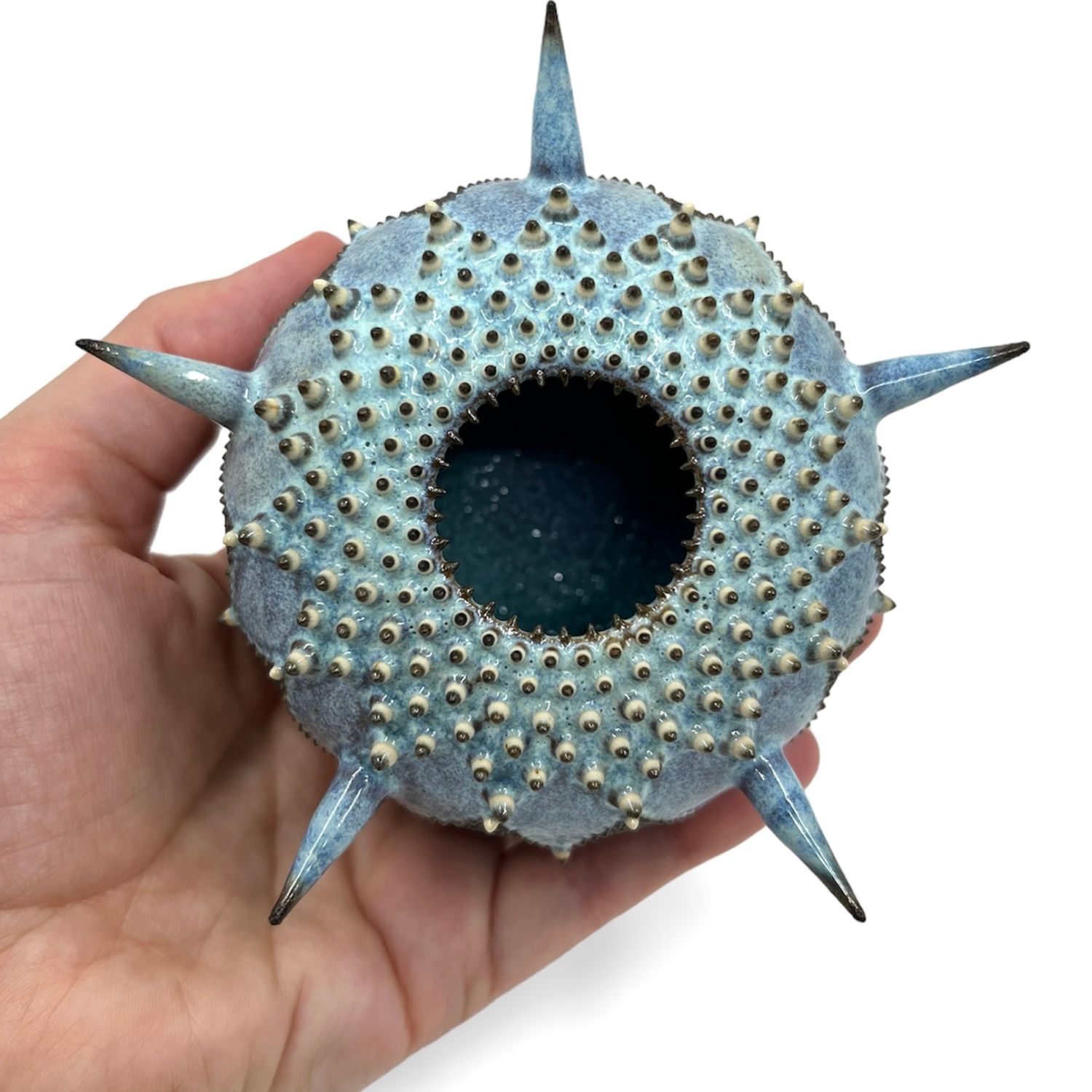 Zara Gardner: Black & Turquoise Urchin Sculpture with Spikes Product Image 2 of 4