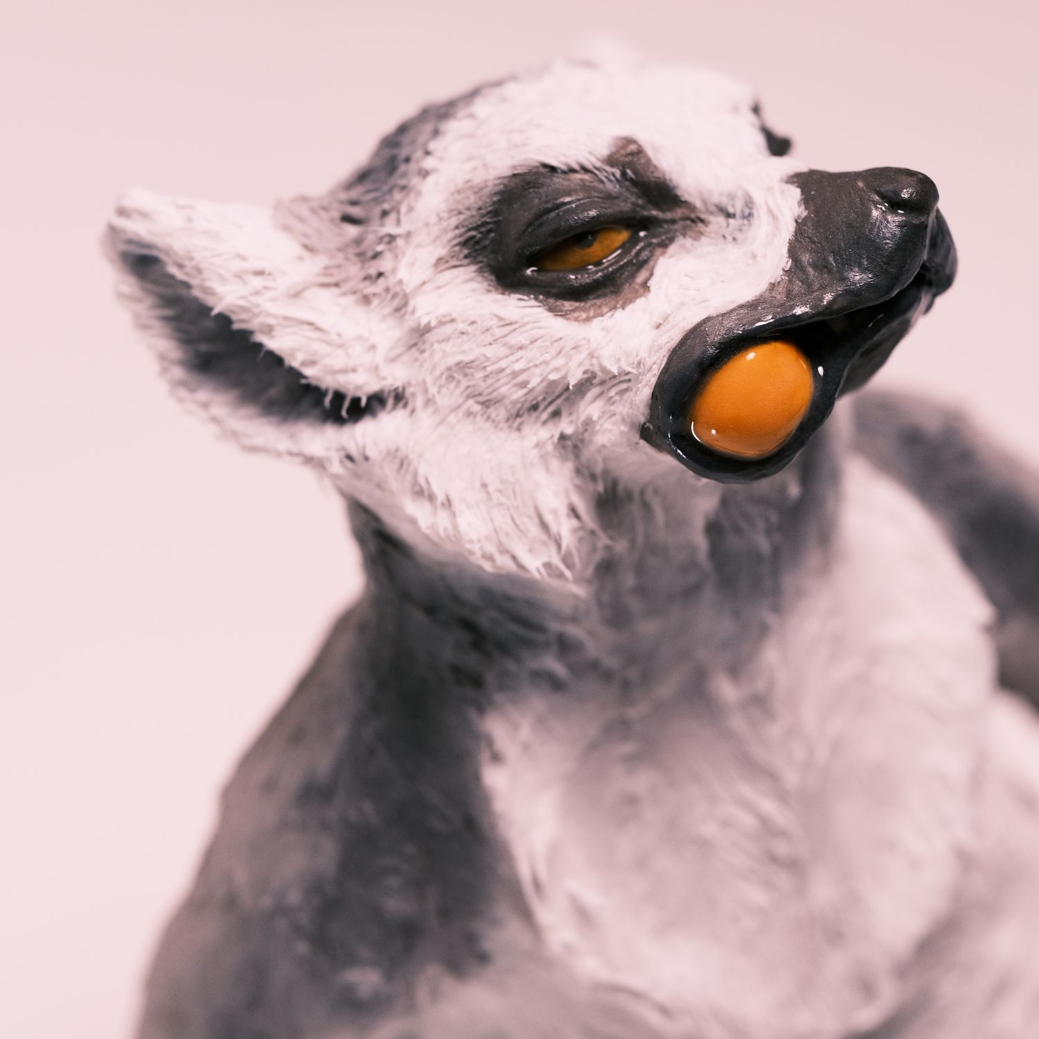 Peidi Wang: Lemur with a fruit in its mouth – Not For Sale Product Image 5 of 5