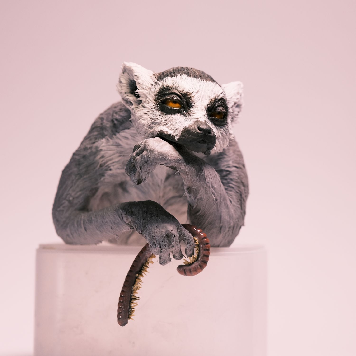 Peidi Wang: Lemur with a worm – Not For Sale Product Image 1 of 3