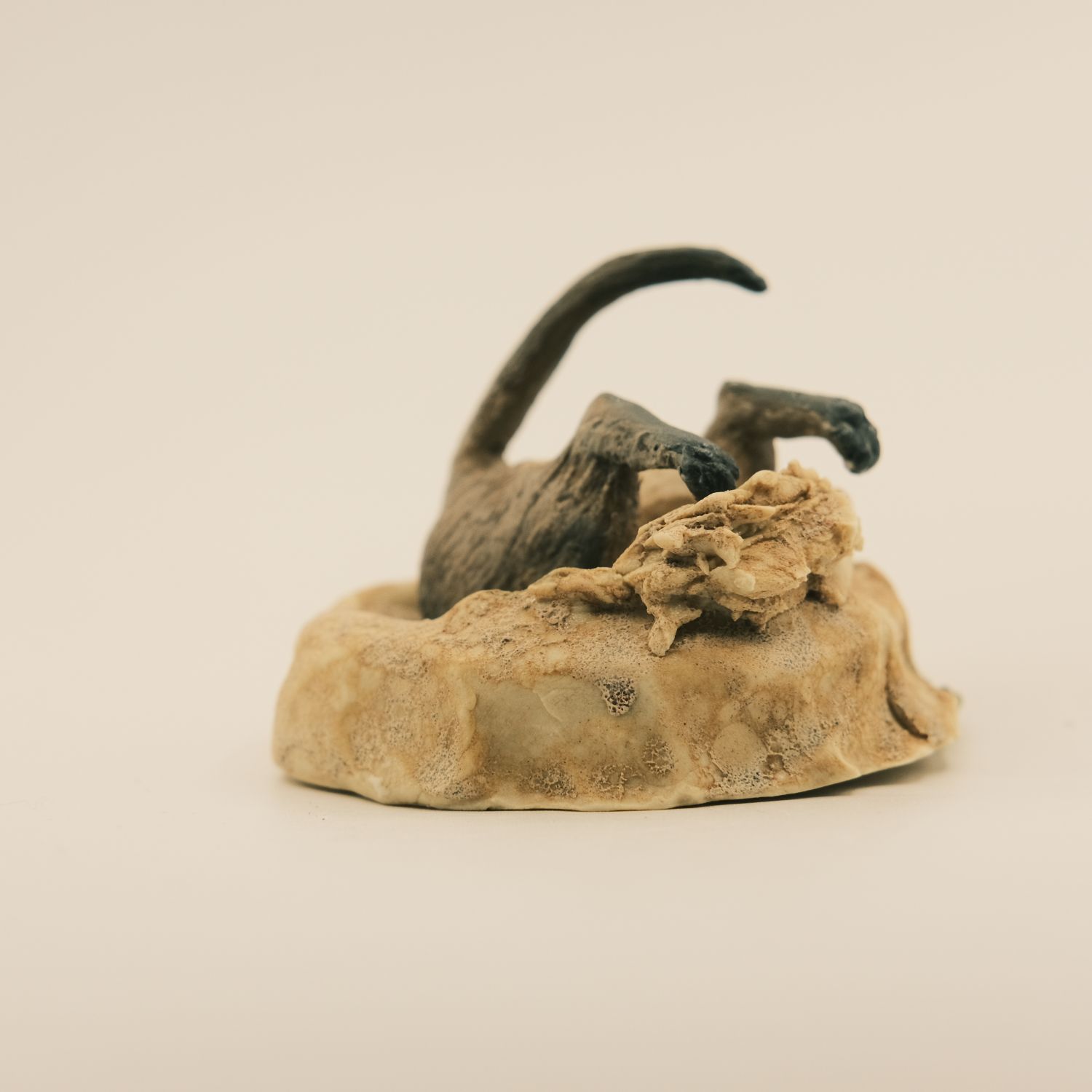 Peidi Wang: Meerkat – Assorted Product Image 4 of 8