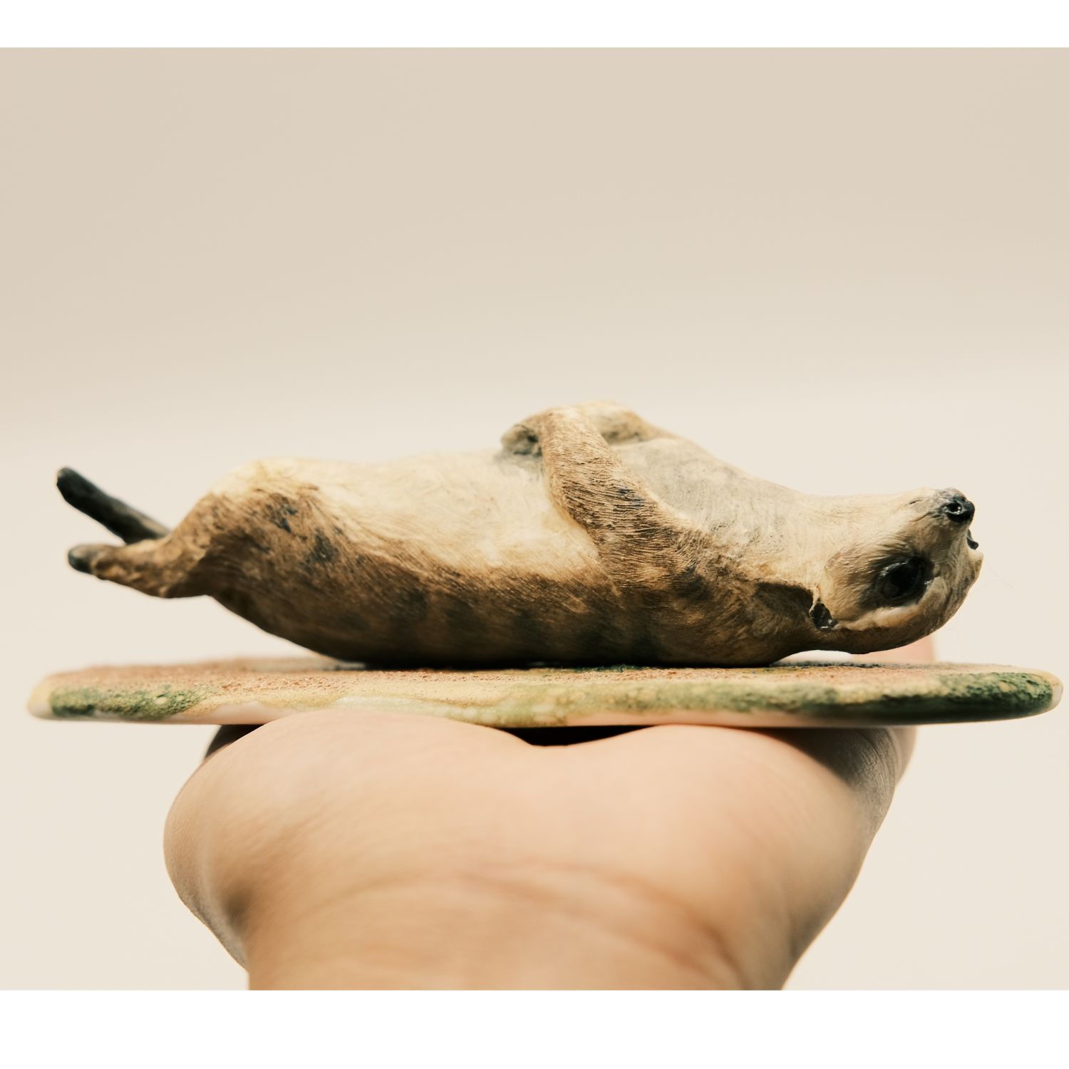 Peidi Wang: Meerkat – Assorted Product Image 3 of 8