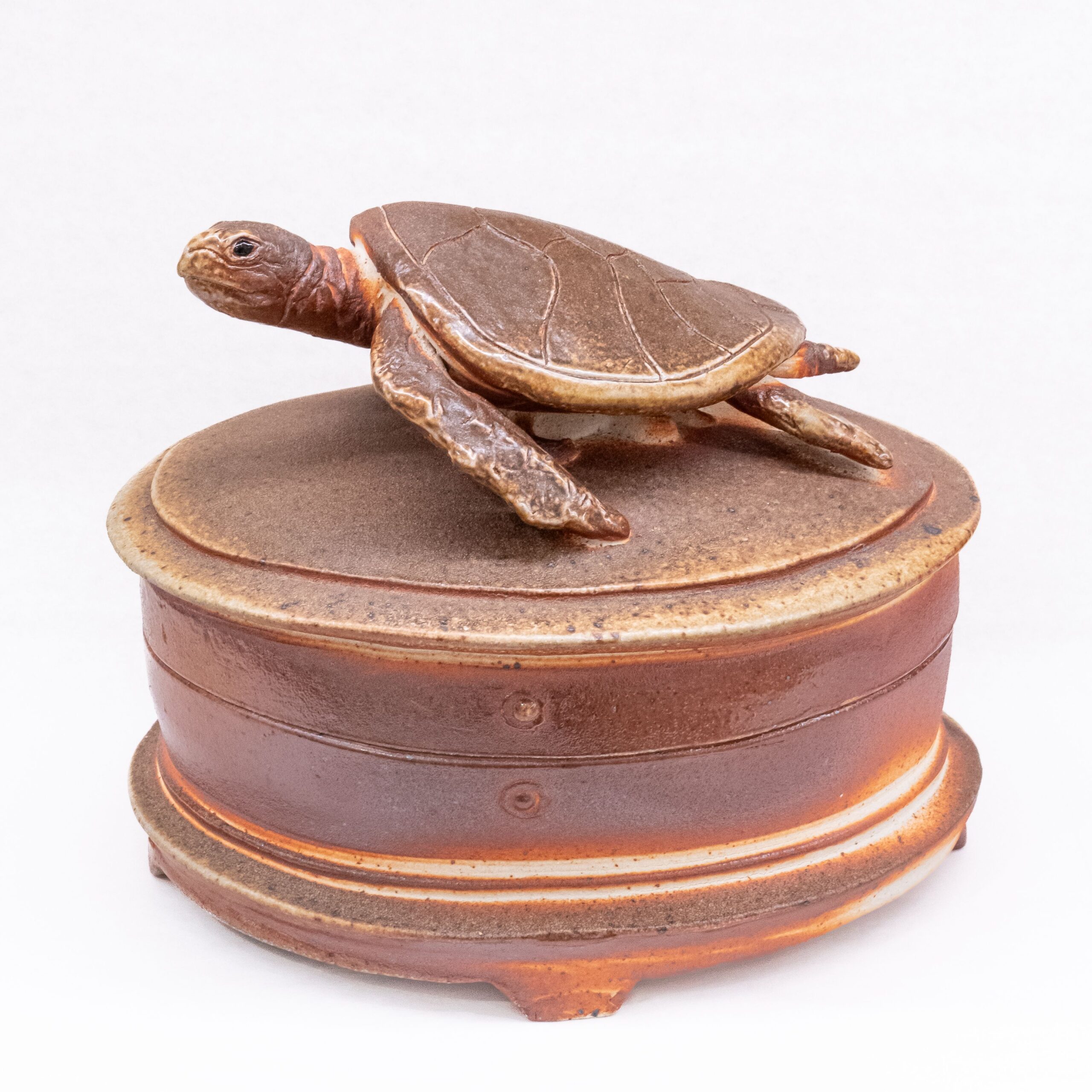 Cochrane & Monostory: Turtle Lidded Box Product Image 1 of 3