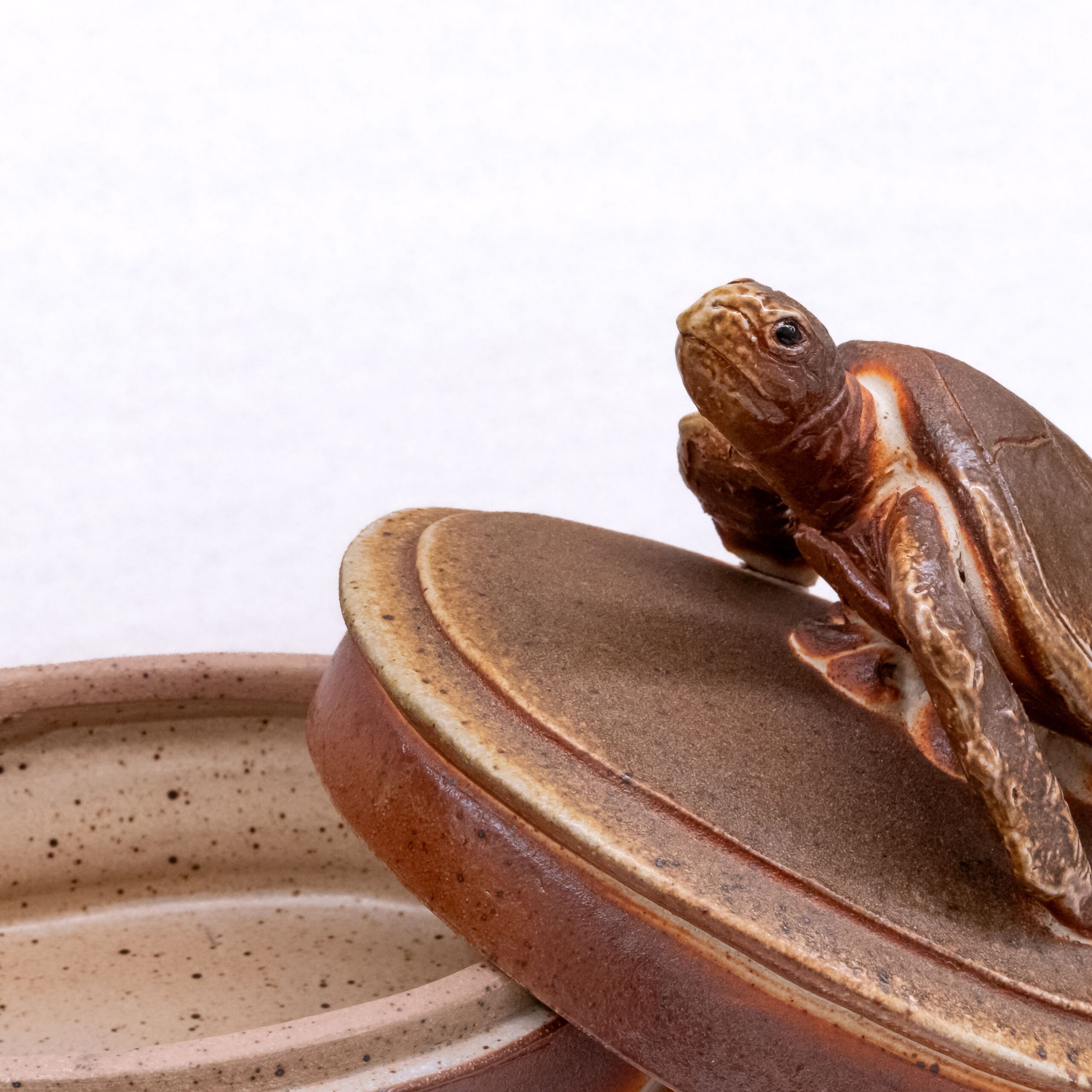 Cochrane & Monostory: Turtle Lidded Box Product Image 3 of 3