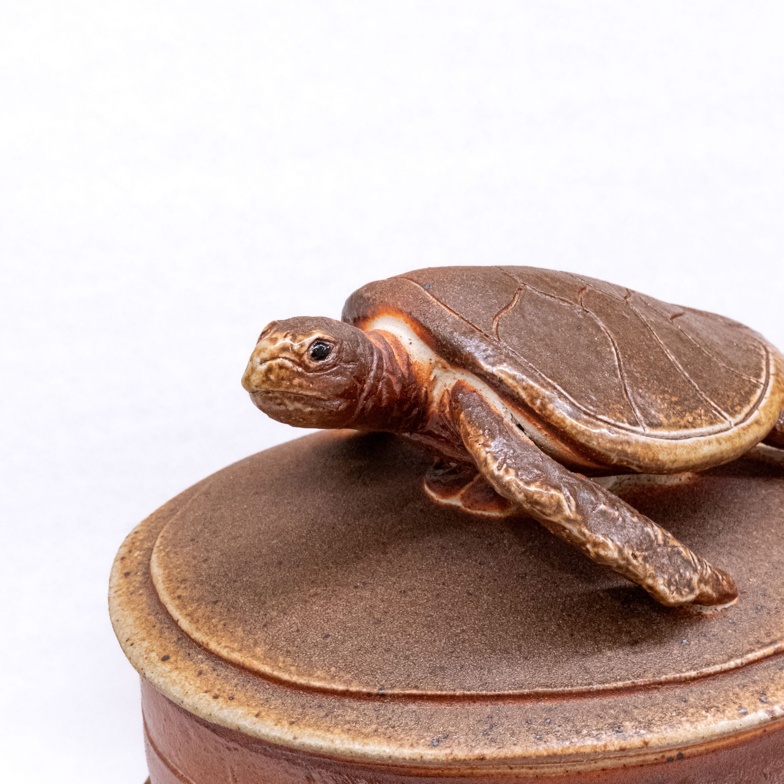Cochrane & Monostory: Turtle Lidded Box Product Image 2 of 3