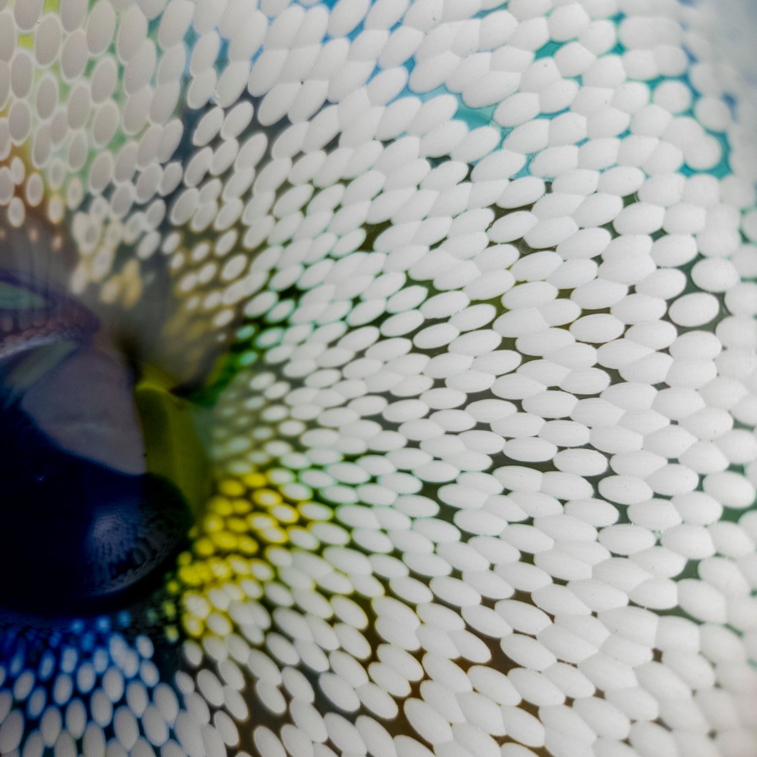 Sydni Weatherson: Mist ll – Glass Vase Product Image 3 of 5