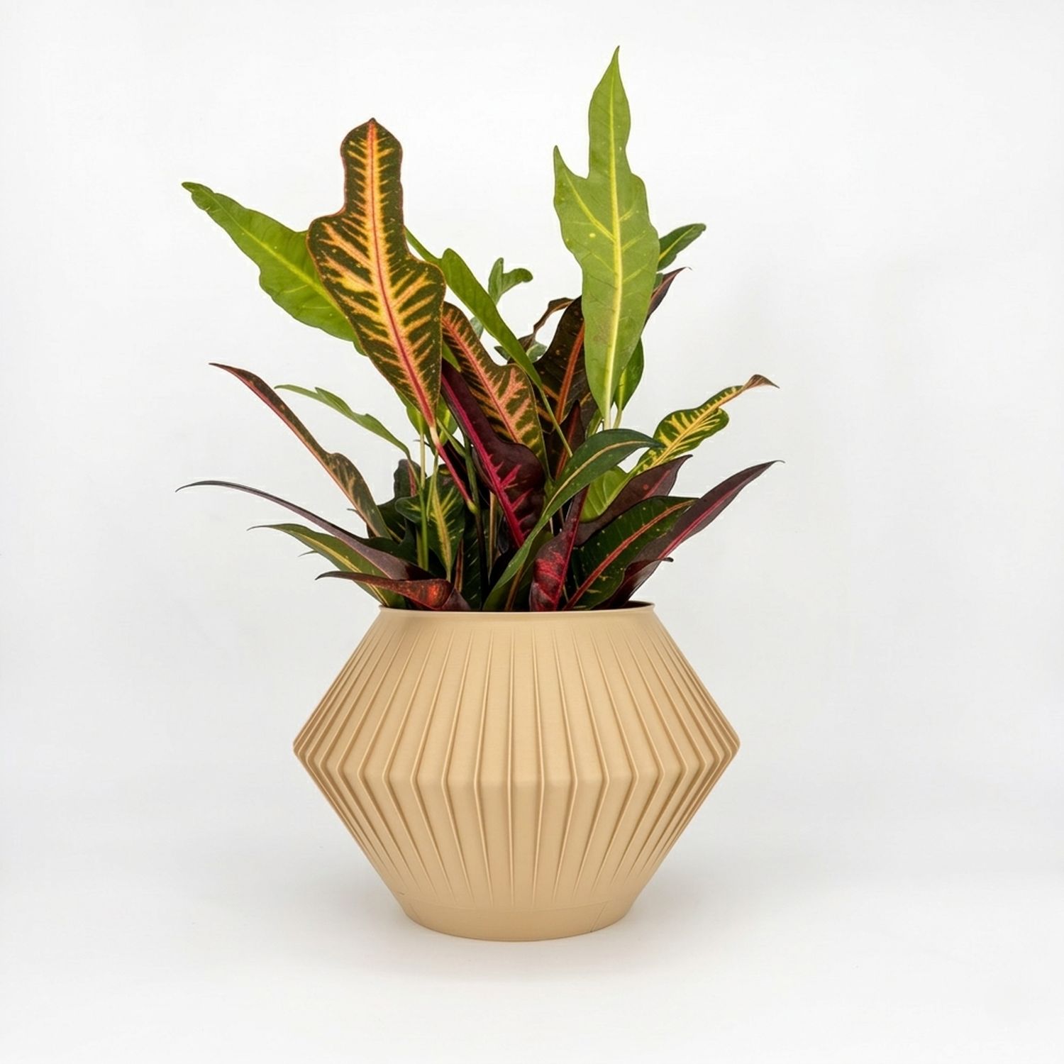 Sonnihaus Studio: CHUNJI Planter – Hazelnut Product Image 1 of 1