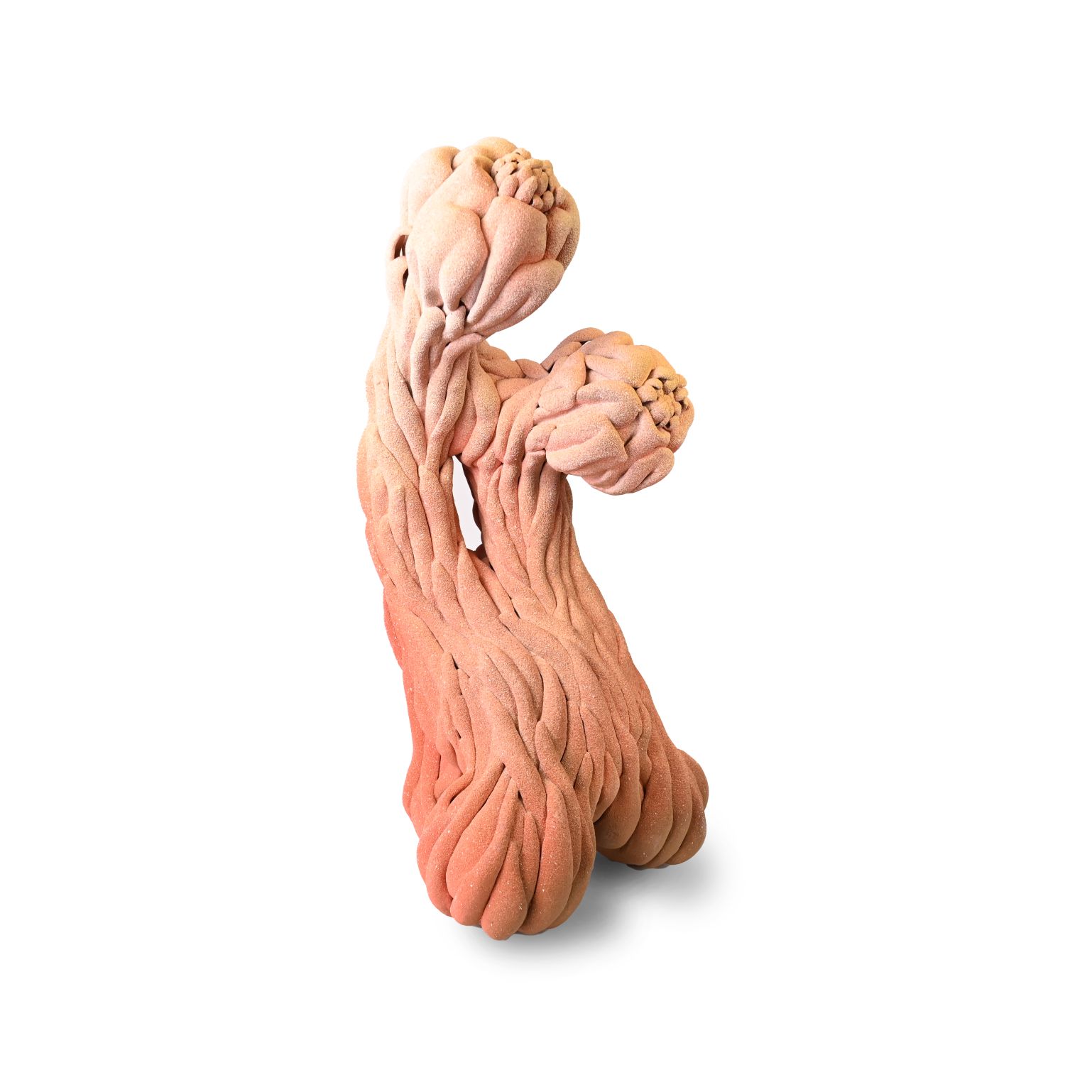 Toni Losey: Division Product Image 1 of 1