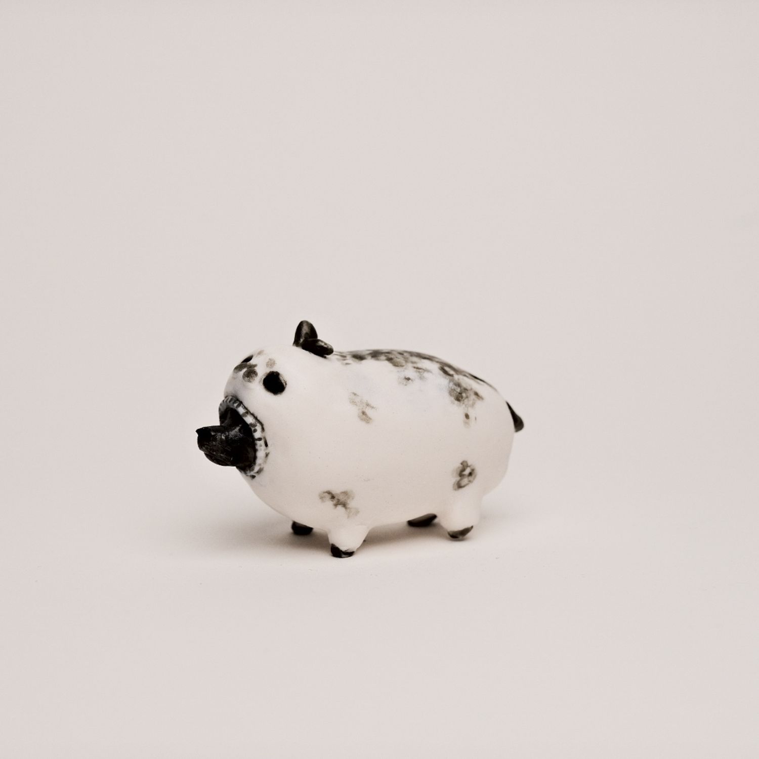 Peidi Wang: Small Dog in Seal Suit Product Image 1 of 1