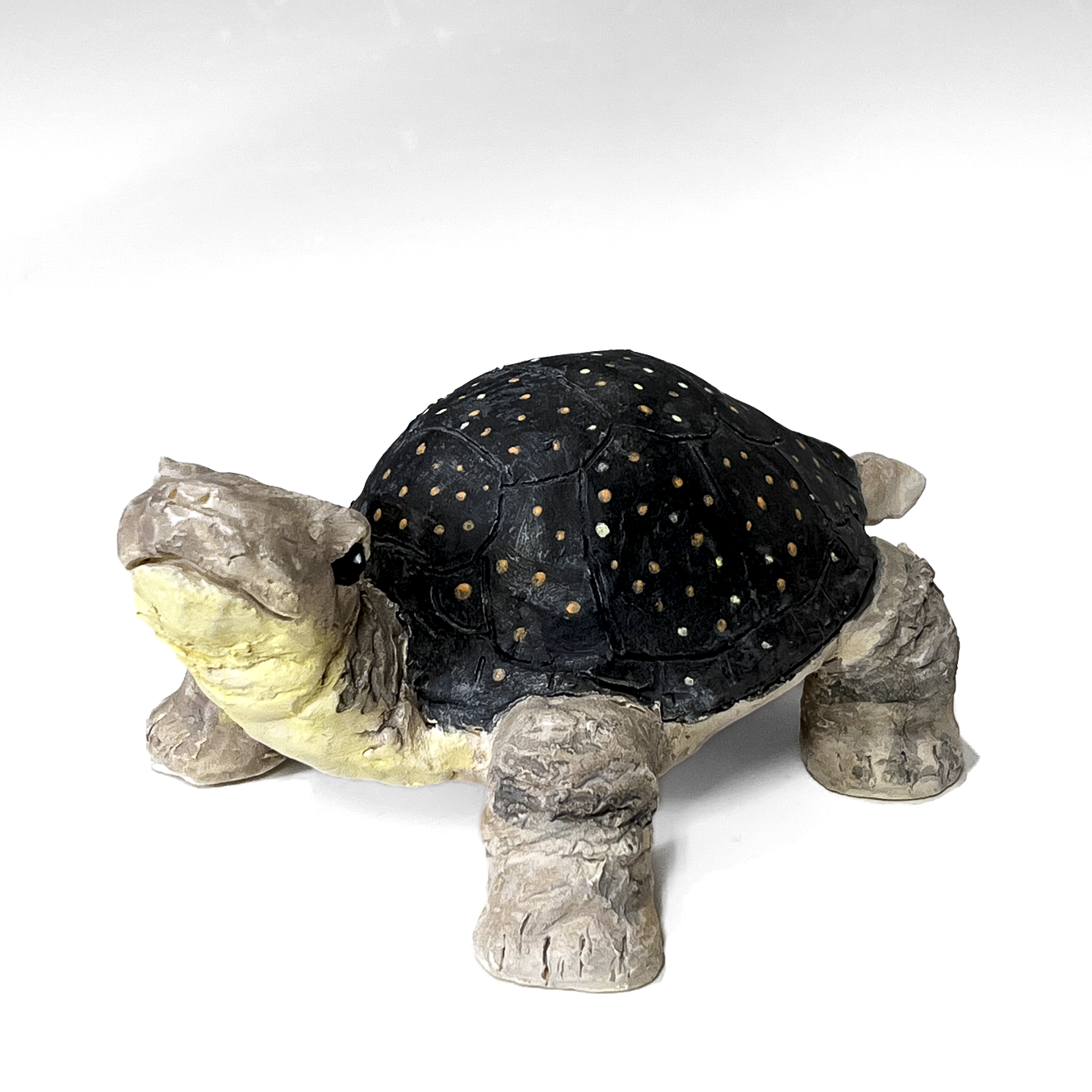 Florence Chik-Lau: Turtle Product Image 1 of 1