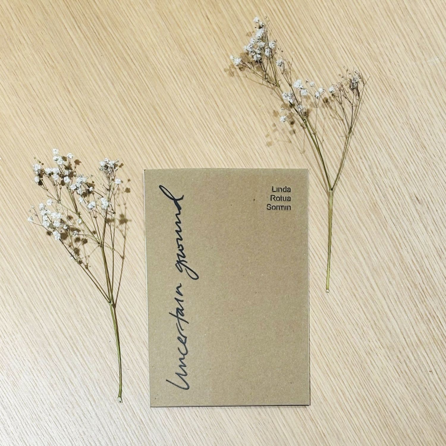 Linda Sormin: Uncertain Ground Product Image 1 of 4