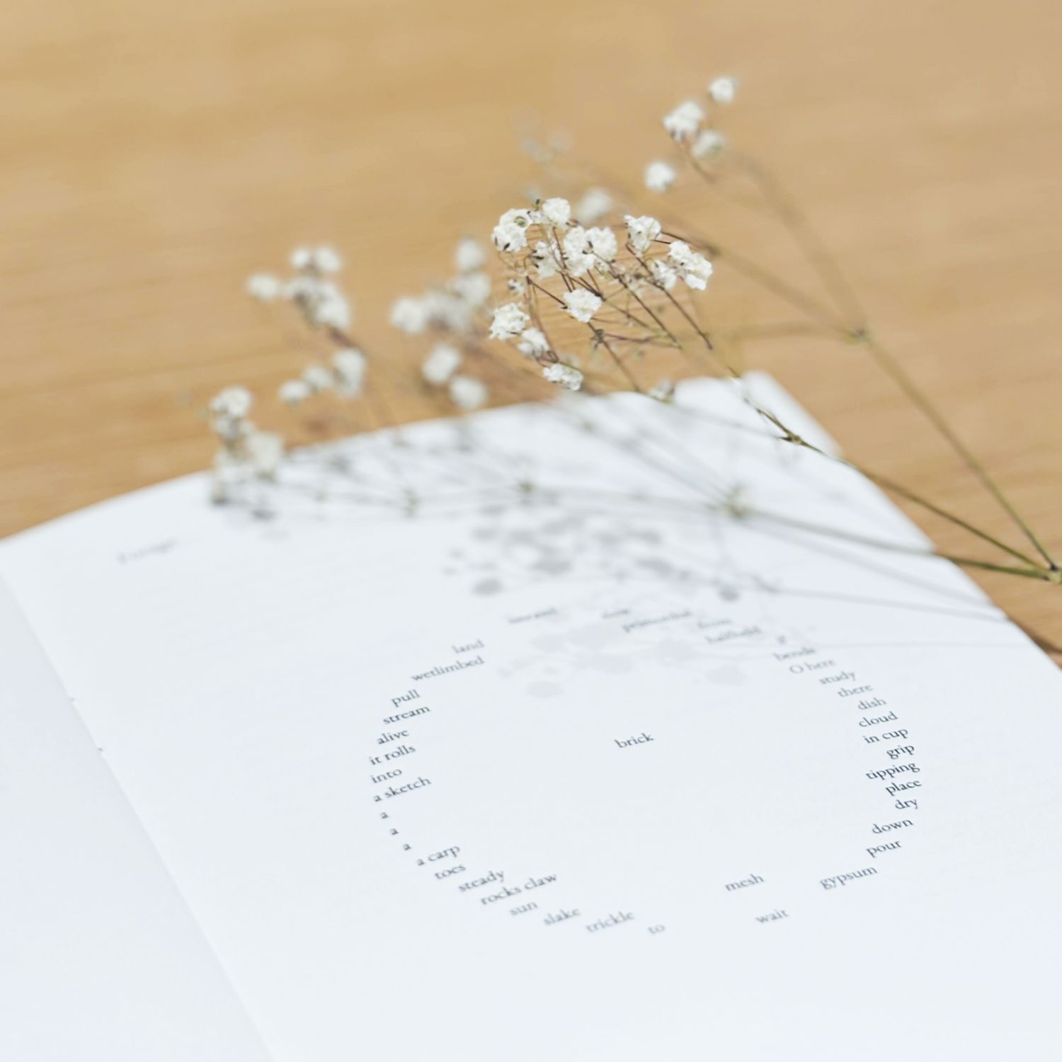 Linda Sormin: Uncertain Ground Product Image 4 of 4