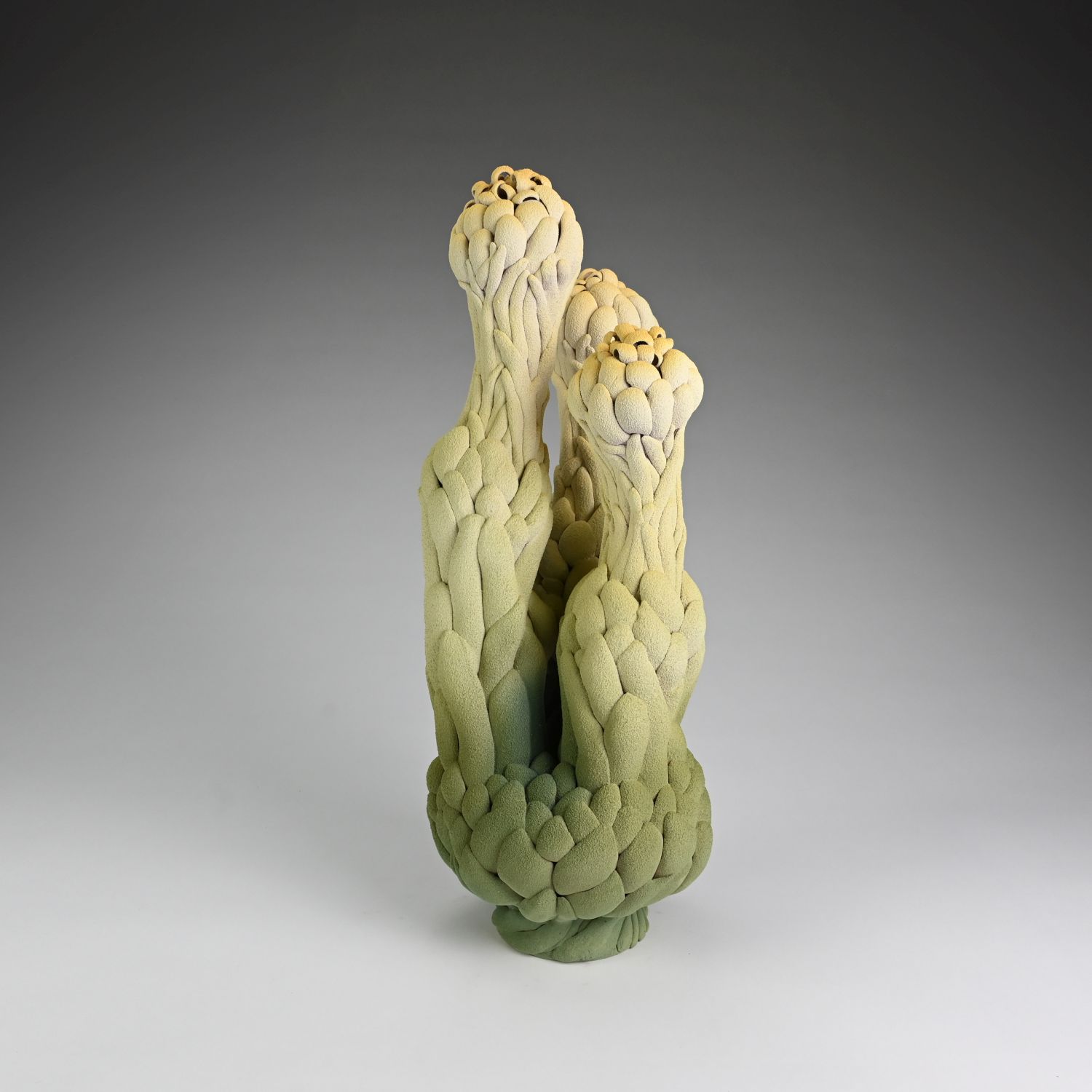 Toni Losey: Interstice Product Image 1 of 1