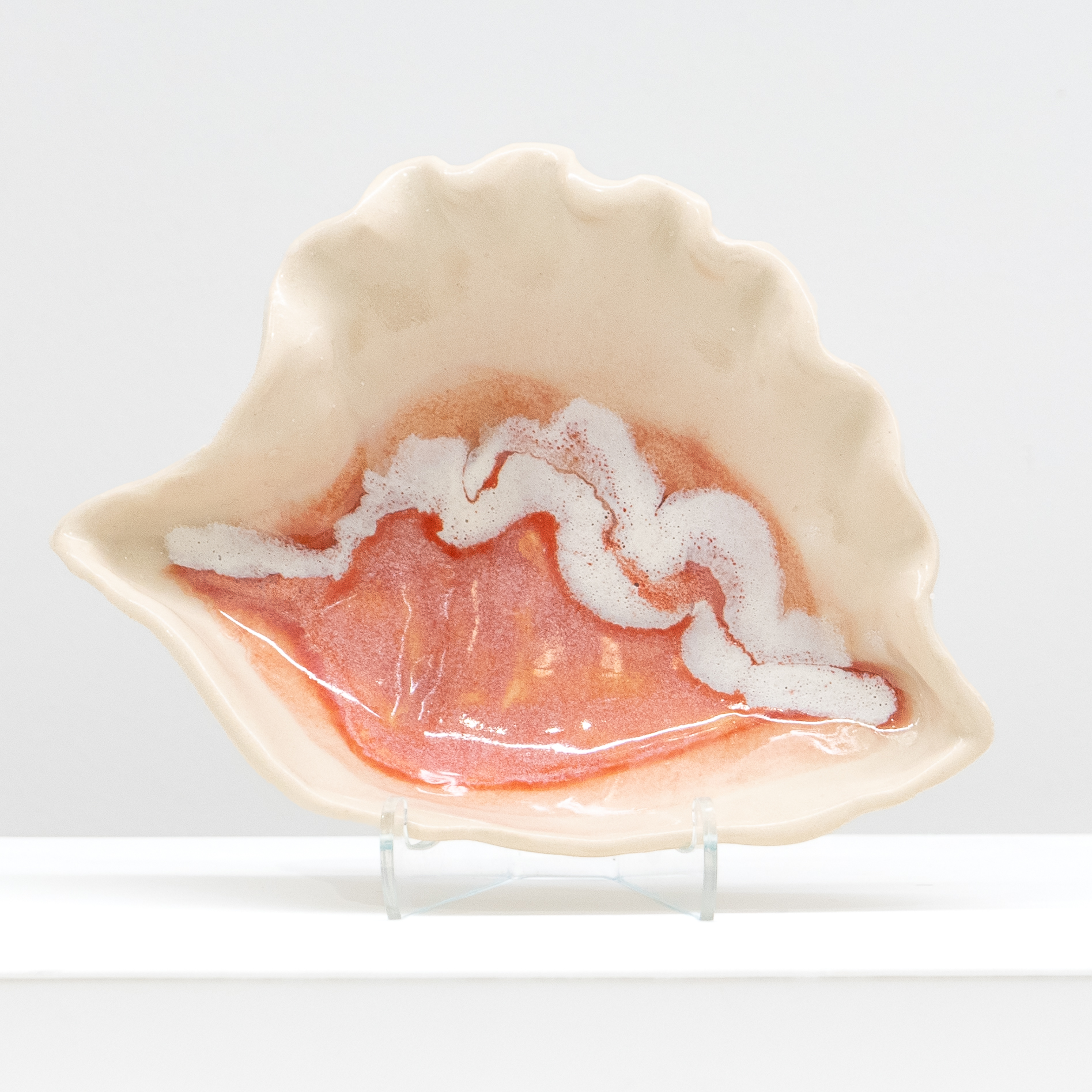 Brenda Nieves: Medium Conch Shell Product Image 1 of 2
