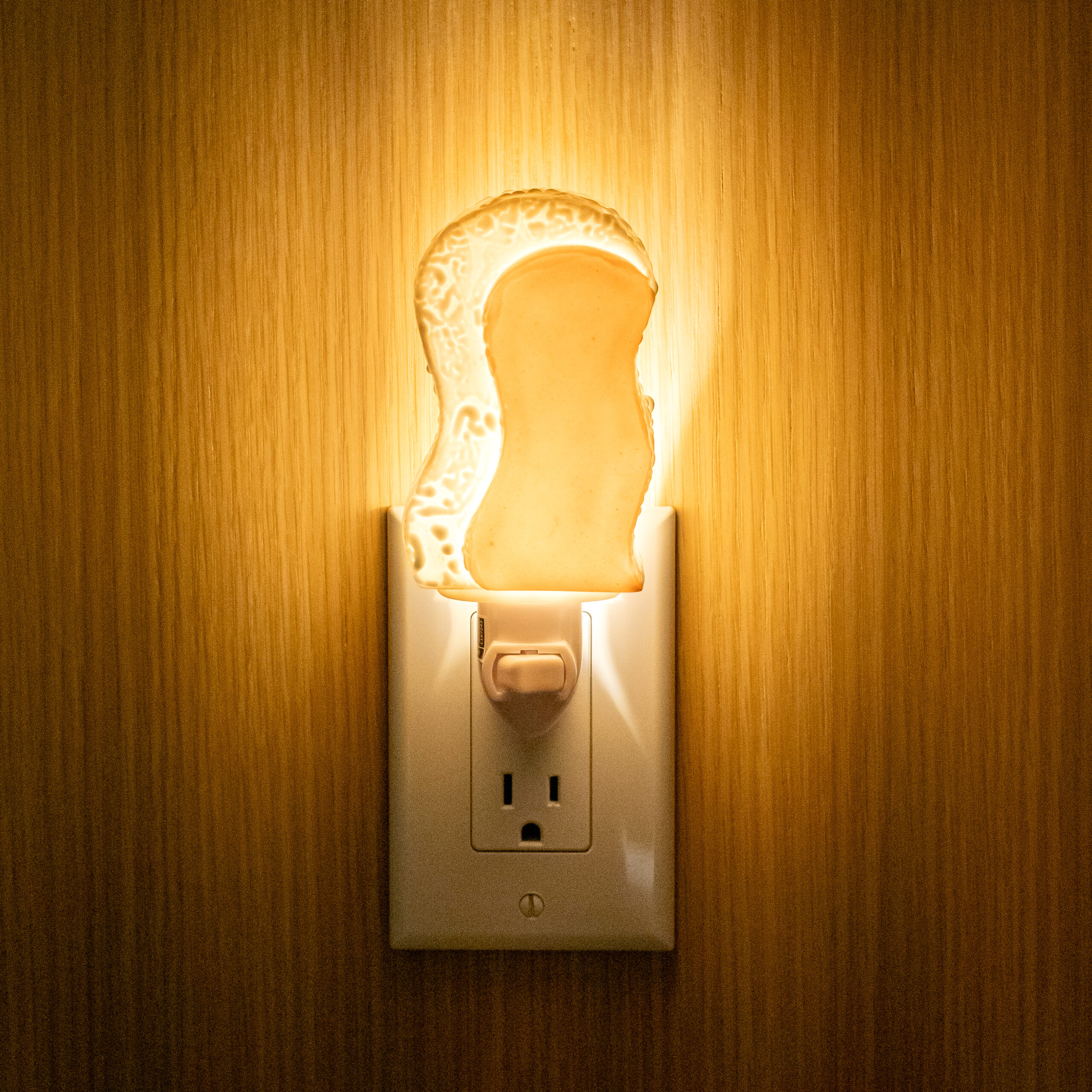 Erin Merkley: Nightlight Product Image 4 of 6