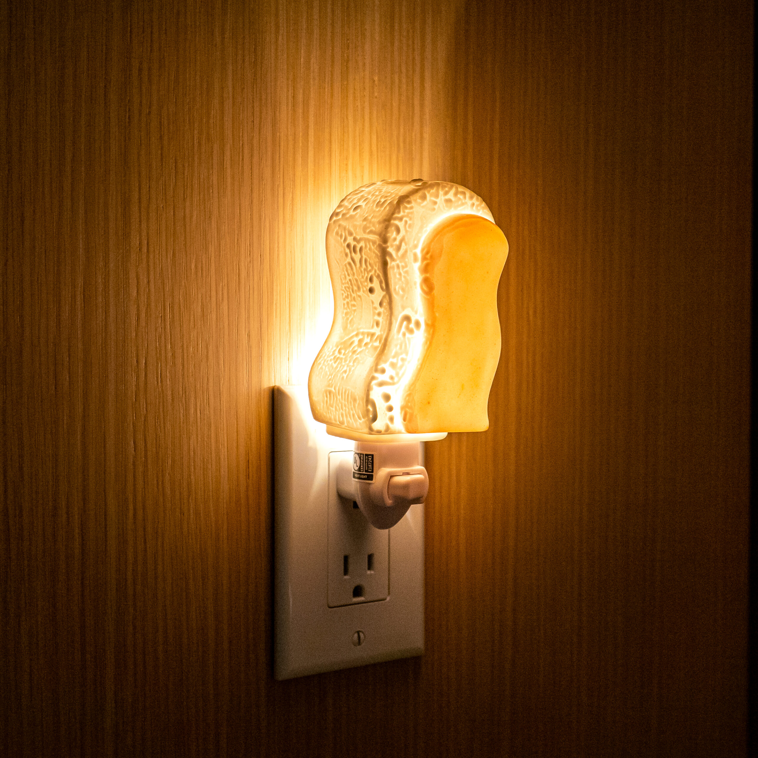 Erin Merkley: Nightlight Product Image 6 of 6