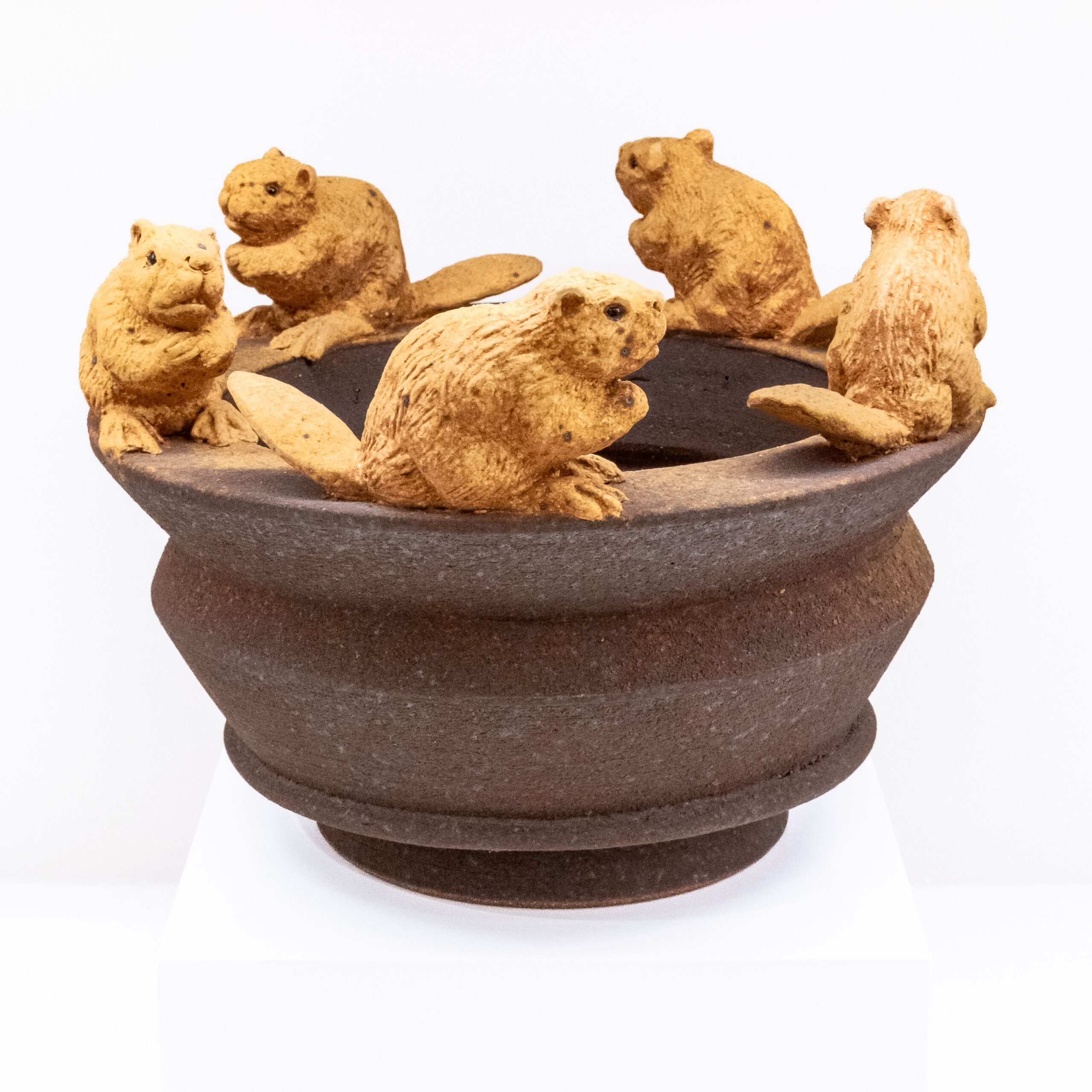 Cochrane & Monostory: Beaver Lidded Box Product Image 1 of 2