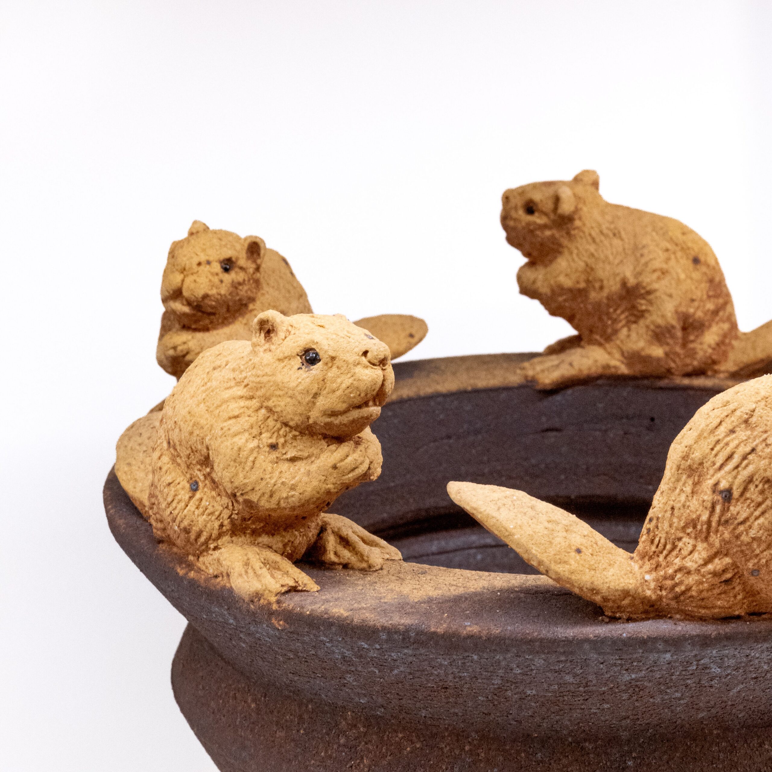 Cochrane & Monostory: Beaver Lidded Box Product Image 2 of 2