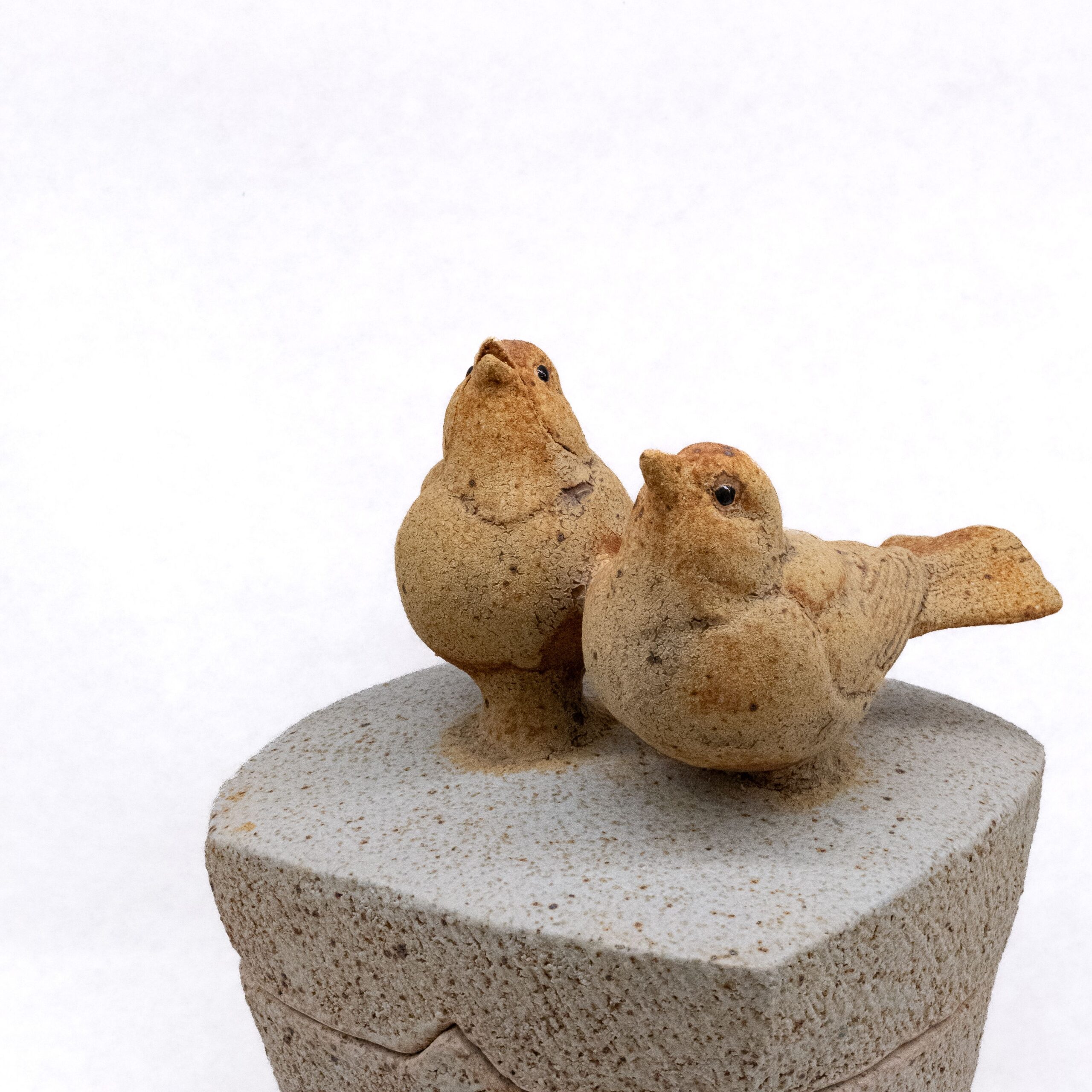 Cochrane & Monstory: Lovebird Lidded Box Product Image 2 of 2