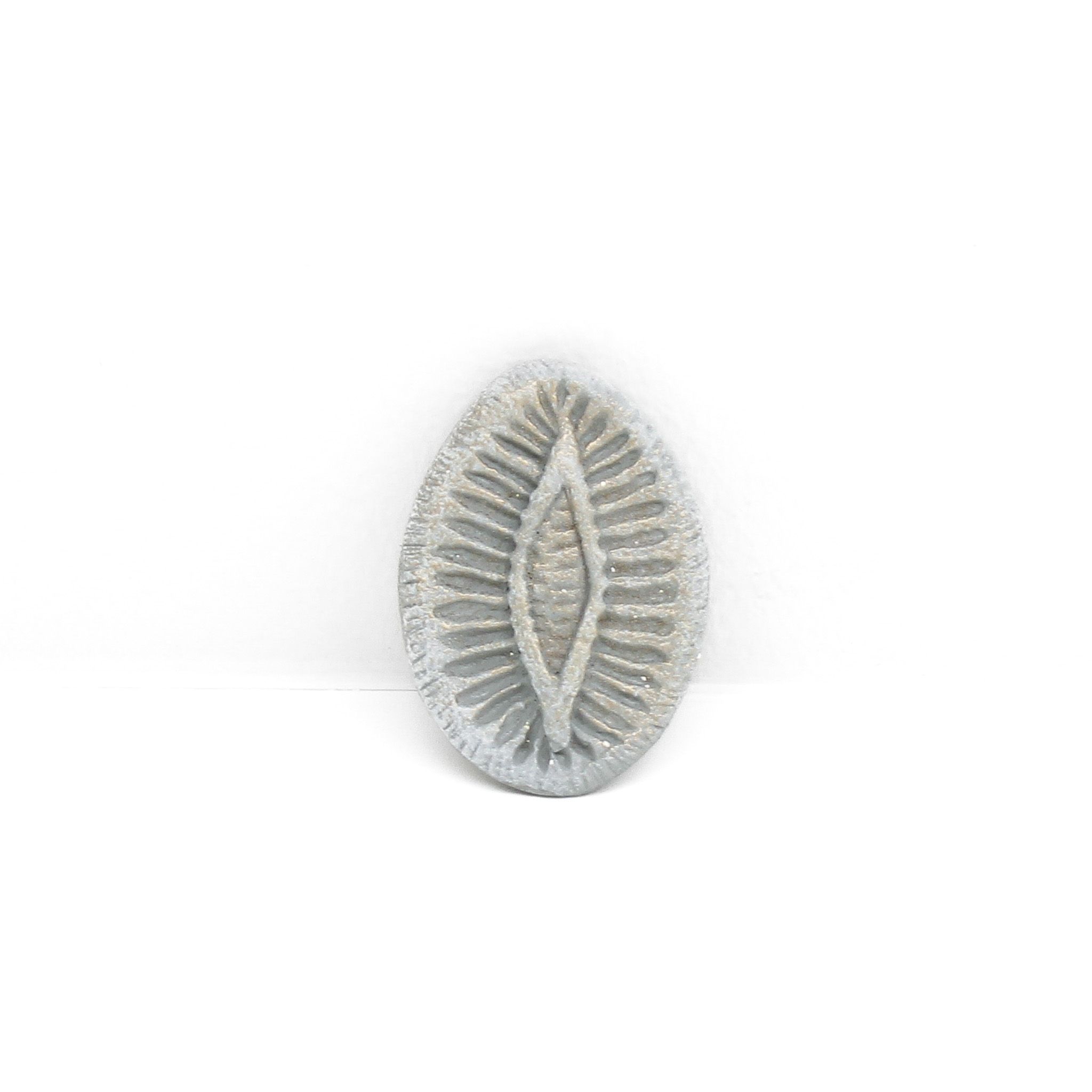 Gina Jacklin: Magnet Product Image 7 of 7
