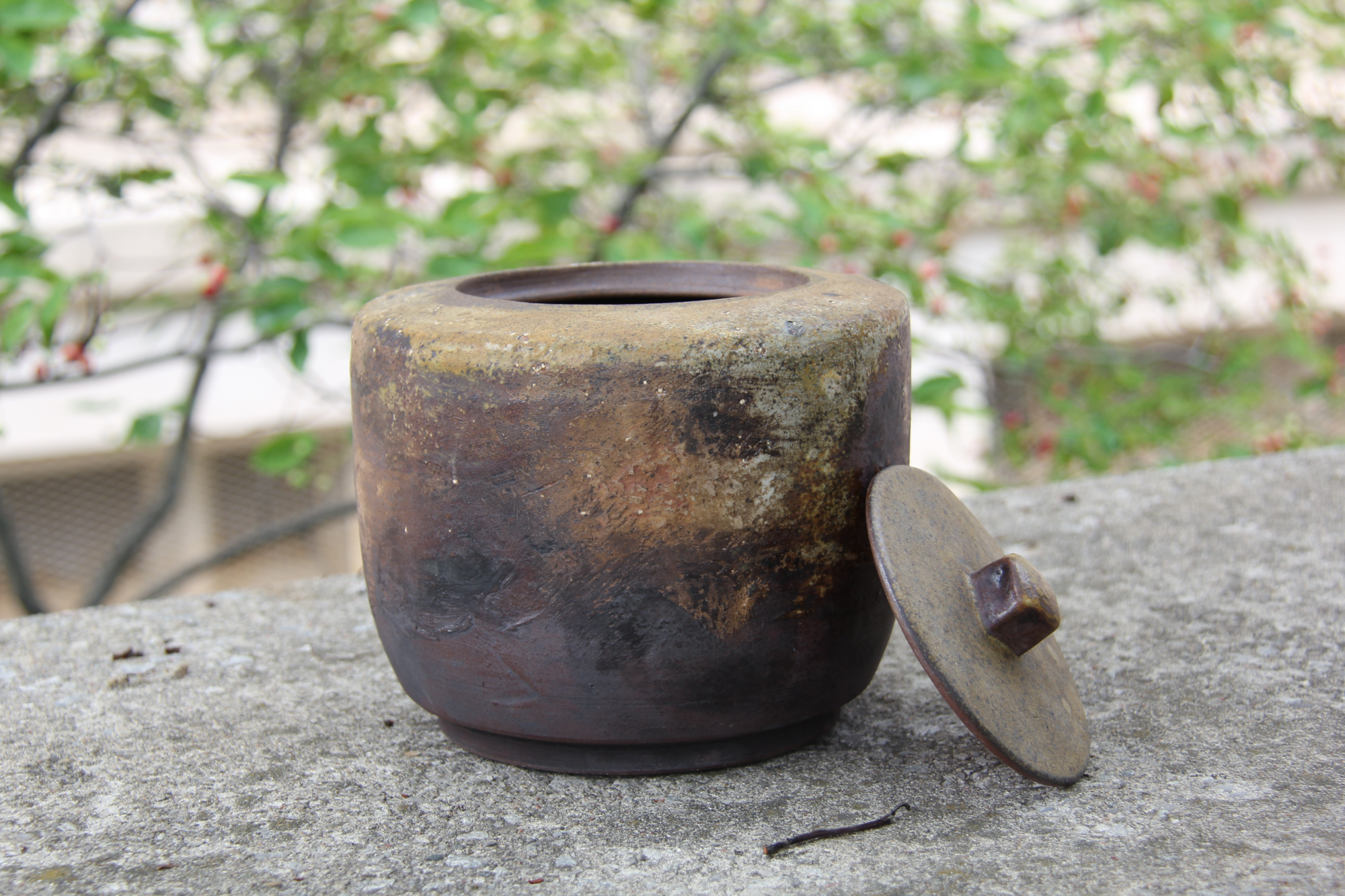 John Ikeda: Longwater Jar with Lid for Tea Ceremony Product Image 6 of 6