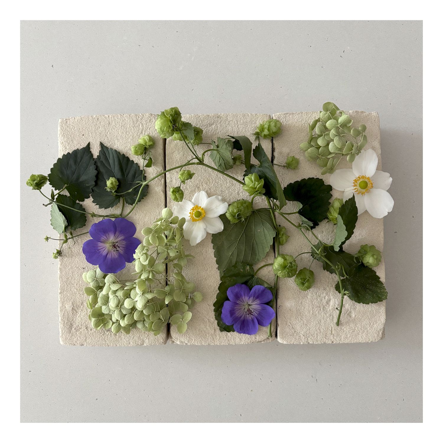 Mati Ceramics: Single Sided Card – Anemones, Geraniums, Hydrangea Petals Product Image 1 of 1