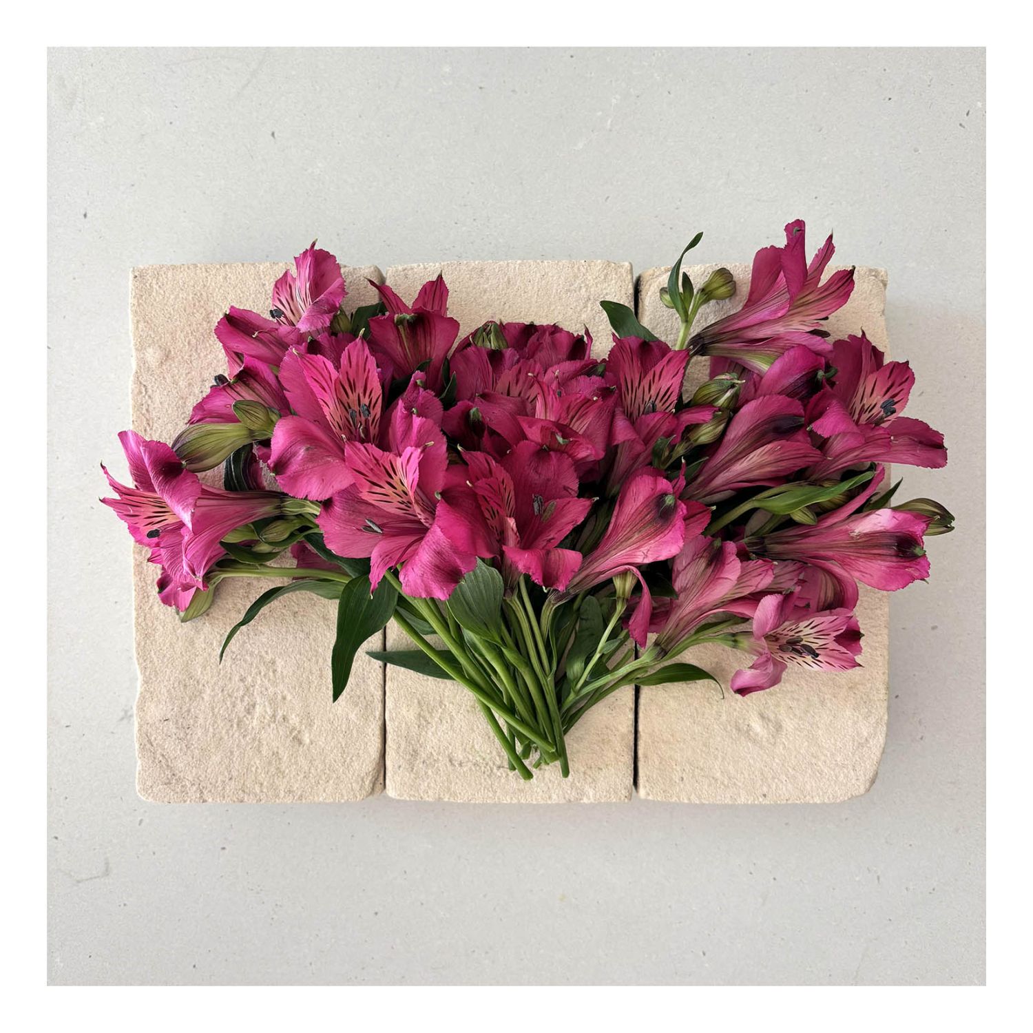 Mati Ceramics: Single Sided Card – Peruvian Lily Product Image 1 of 1