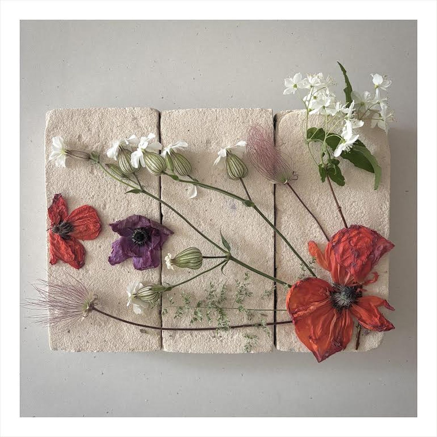 Mati Ceramics: Single Sided Card – Poppies, Bladder Campion and Clematis Seed Heads Product Image 1 of 1