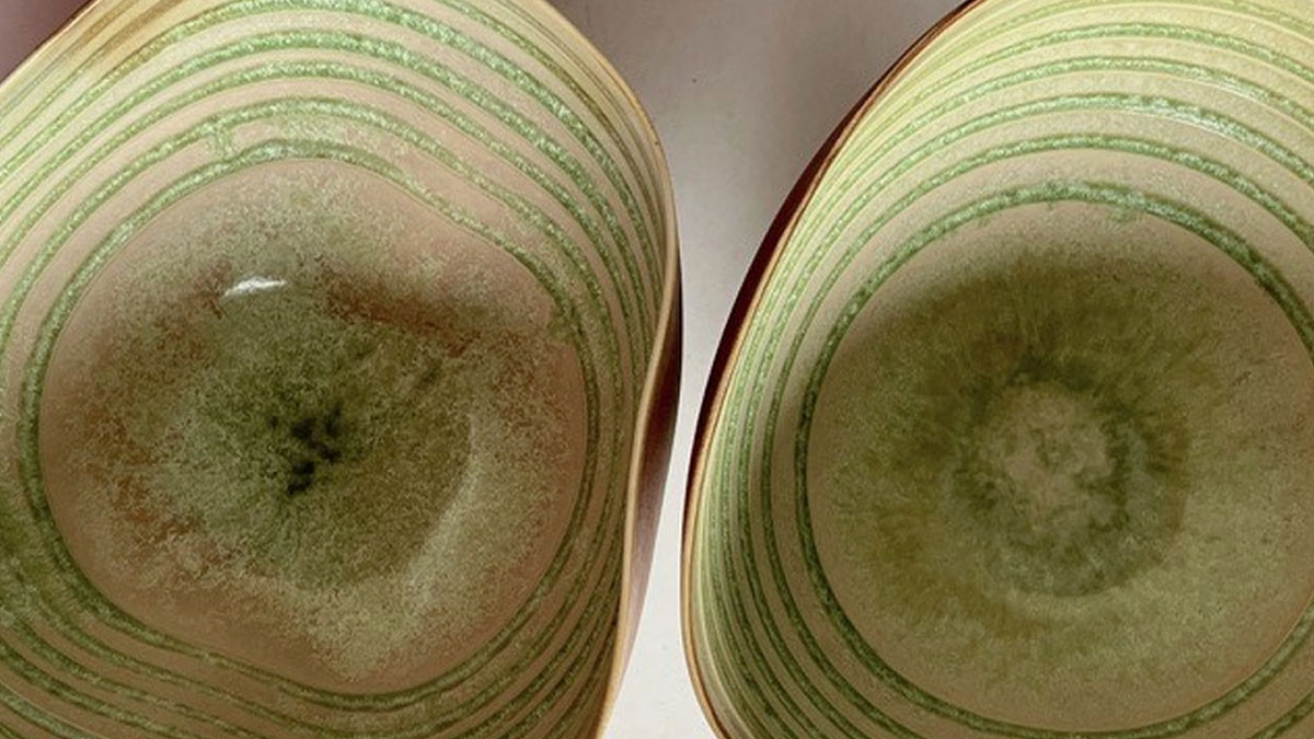 Close up view of two green ceramic bowls with concentric circles decorating the inside