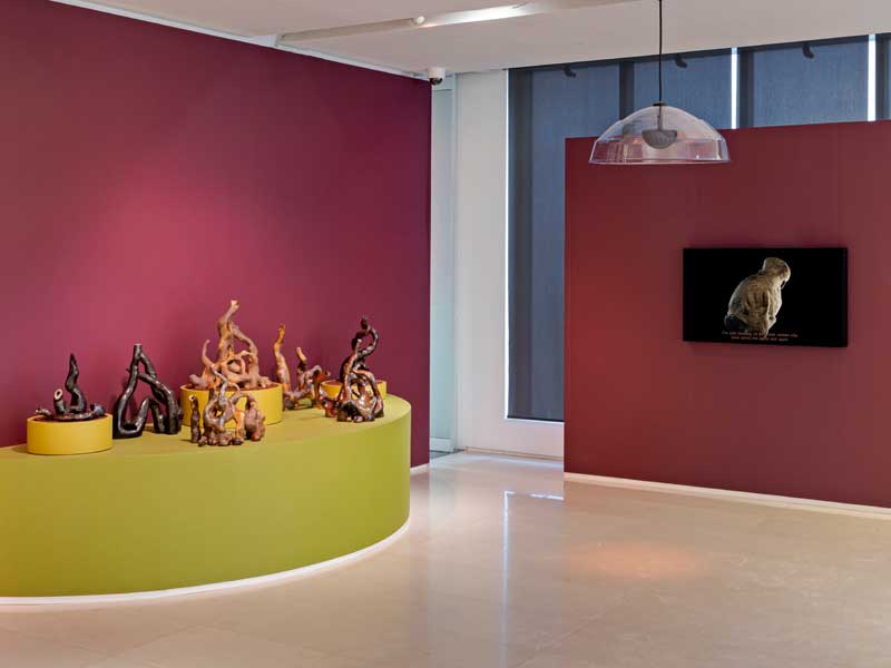 An installation of ceramic sculptures referencing plant forms and video with purple walls and a green plinth