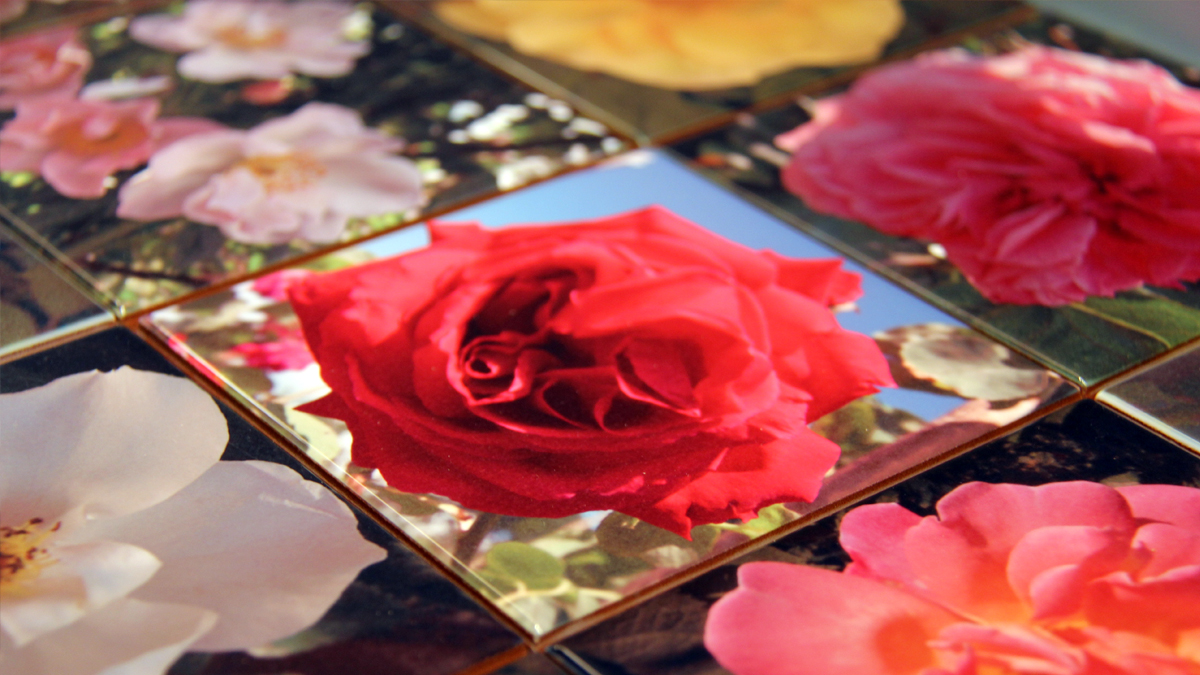 Ceramic tiles with printed with photos of roses