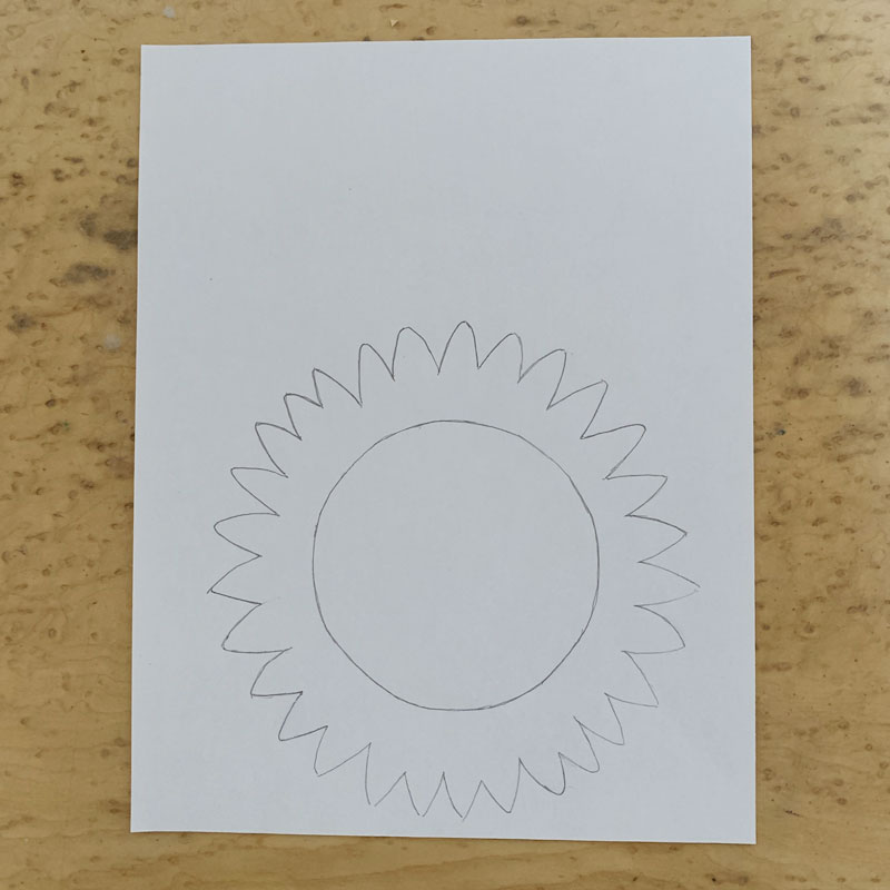 Outline of a sunflower drawn on a piece of paper