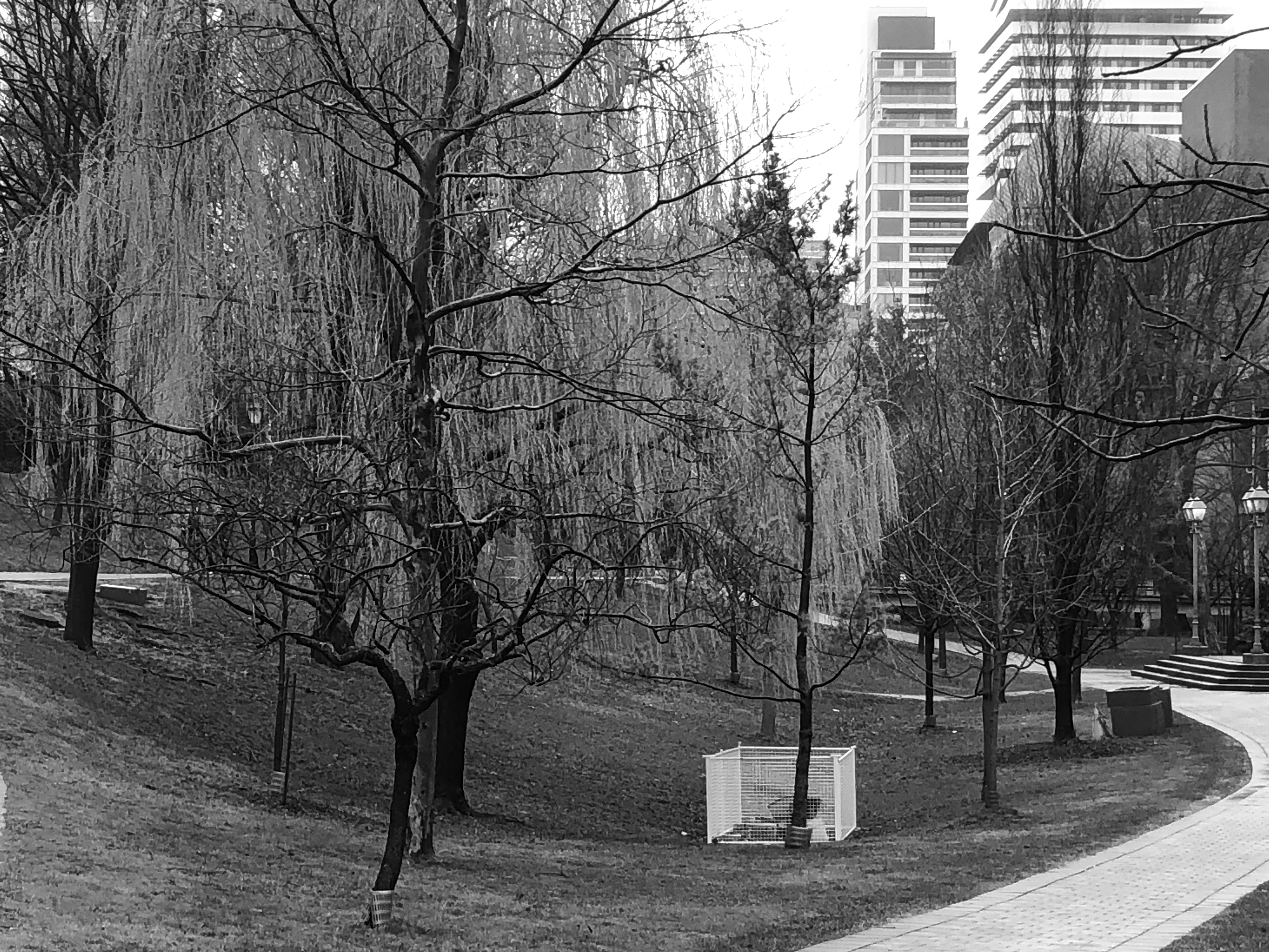 Black and white image of Queen's Park